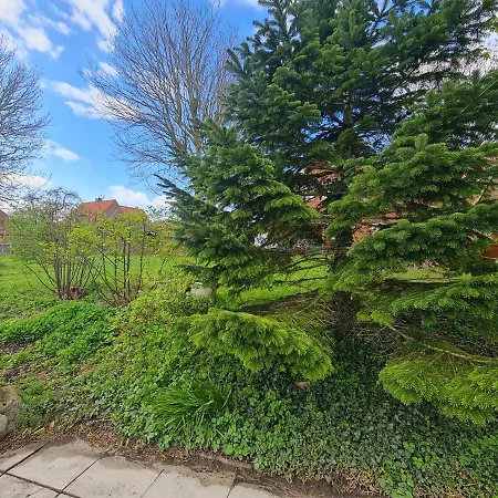 Haus Windjammer Апартаменты Нойхарлингерзиль